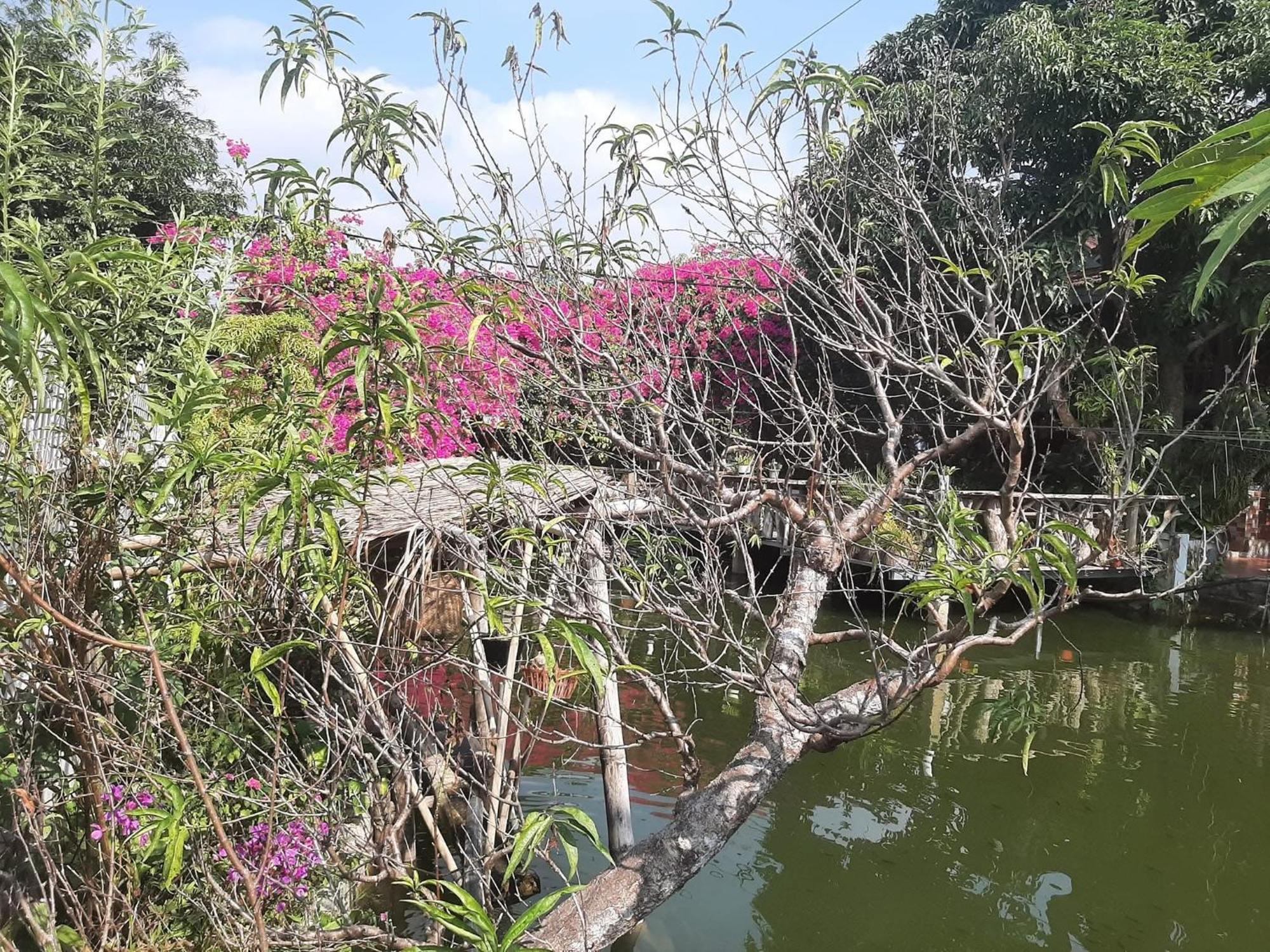 Minh Ngoc Homestay Dien Bien Phu Ban Him Lom Exterior foto