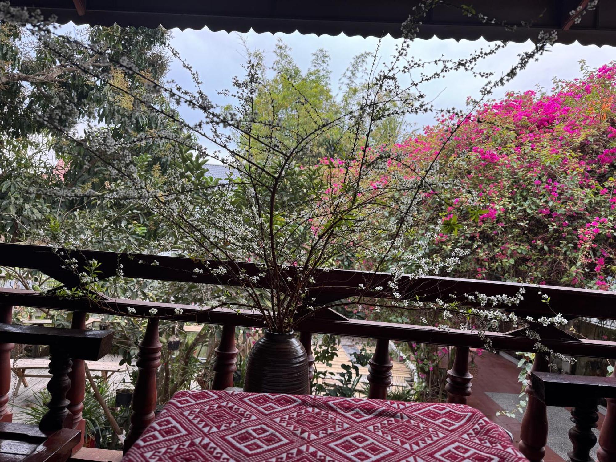 Minh Ngoc Homestay Dien Bien Phu Ban Him Lom Exterior foto